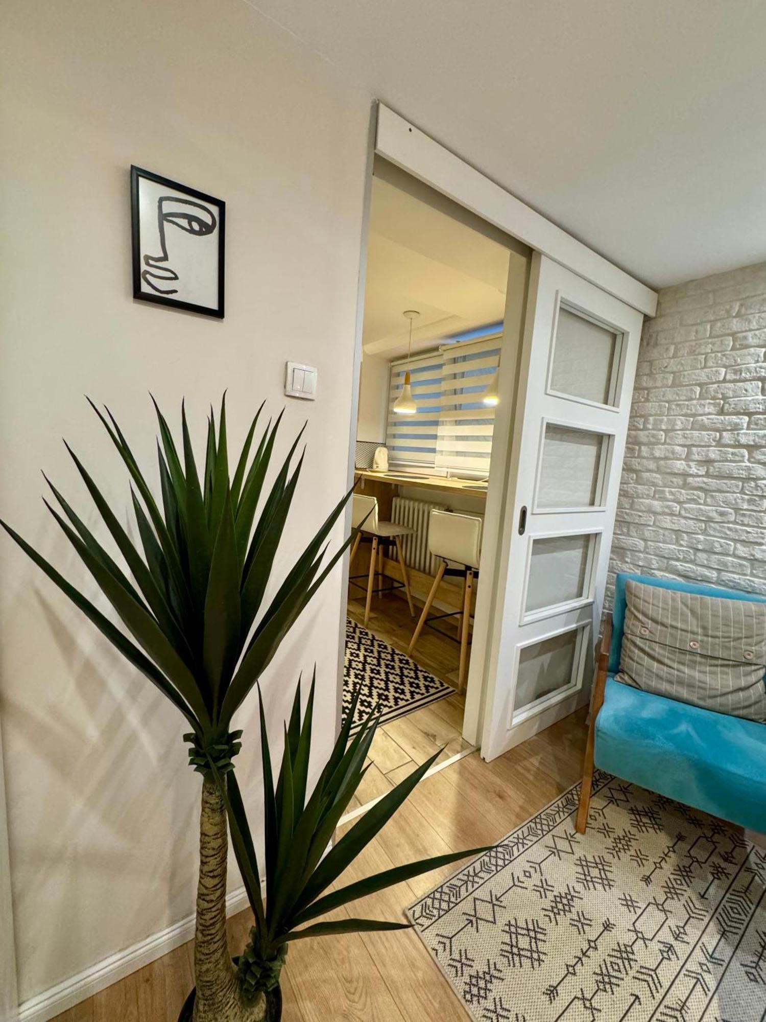 Cozy Haven Lejlighed Beograd Eksteriør billede